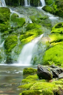 Waterfall and Mossy Rocks (Holden, Wendy © Holden, Wendy; VisaPro.ca. All Rights Reserved.)